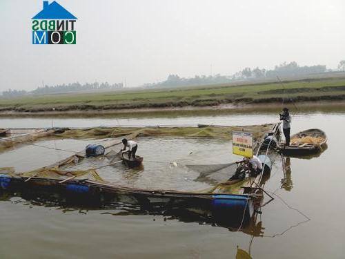 Hình ảnh Bình Tuyền, Phú Thọ