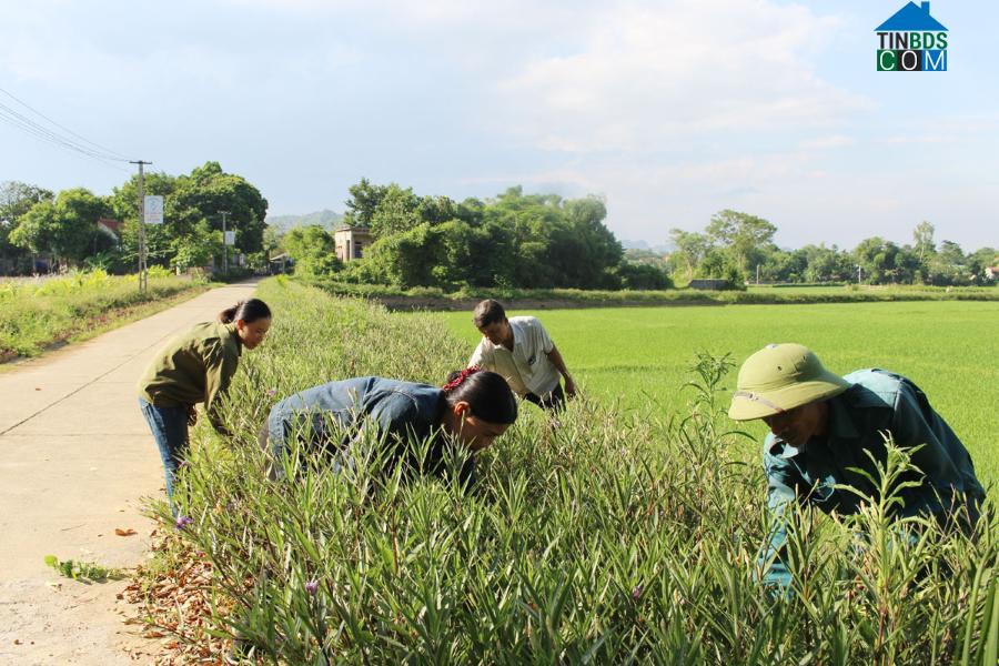 Hình ảnh Cao Dương, Phú Thọ