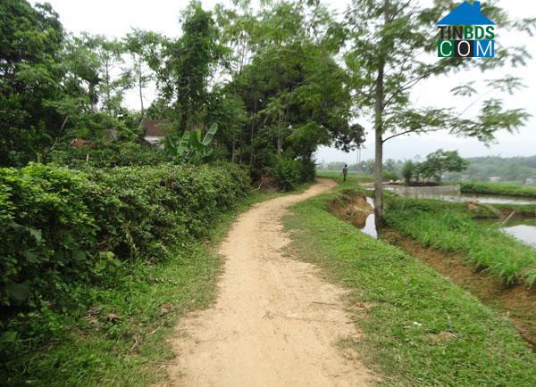 Hình ảnh Cự Đồng, Phú Thọ