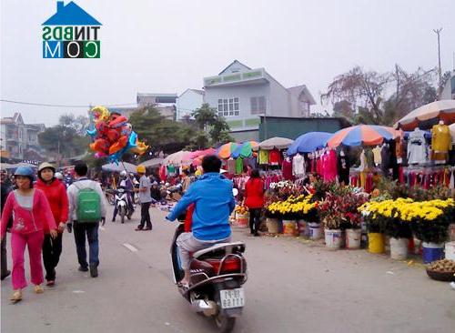 Hình ảnh Nông Trang, Phú Thọ