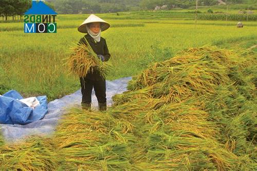 Hình ảnh Phú Khê, Phú Thọ