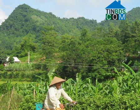 Hình ảnh Lạc Lương, Phú Thọ