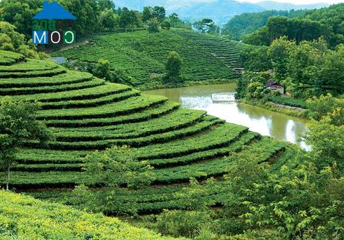 Hình ảnh Minh Hòa, Phú Thọ