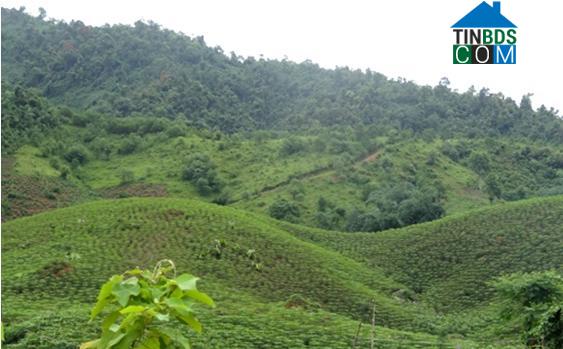 Hình ảnh Mường Vang, Phú Thọ