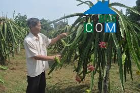 Hình ảnh Thịnh Minh, Phú Thọ