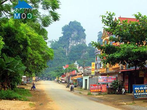 Hình ảnh Thu Cúc, Phú Thọ