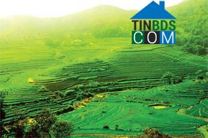 Hình ảnh Thượng Cốc, Phú Thọ