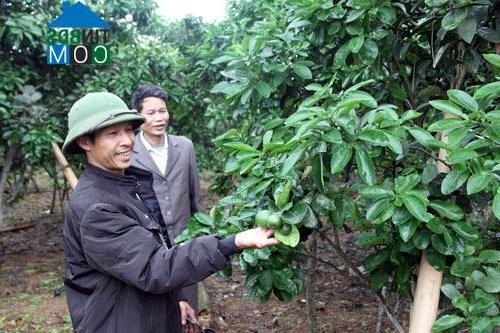 Hình ảnh Thượng Long, Phú Thọ