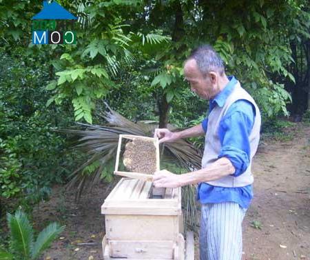 Hình ảnh Sơn Đông, Phú Thọ