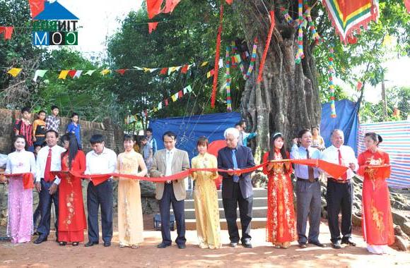 Hình ảnh Tân Mai, Phú Thọ