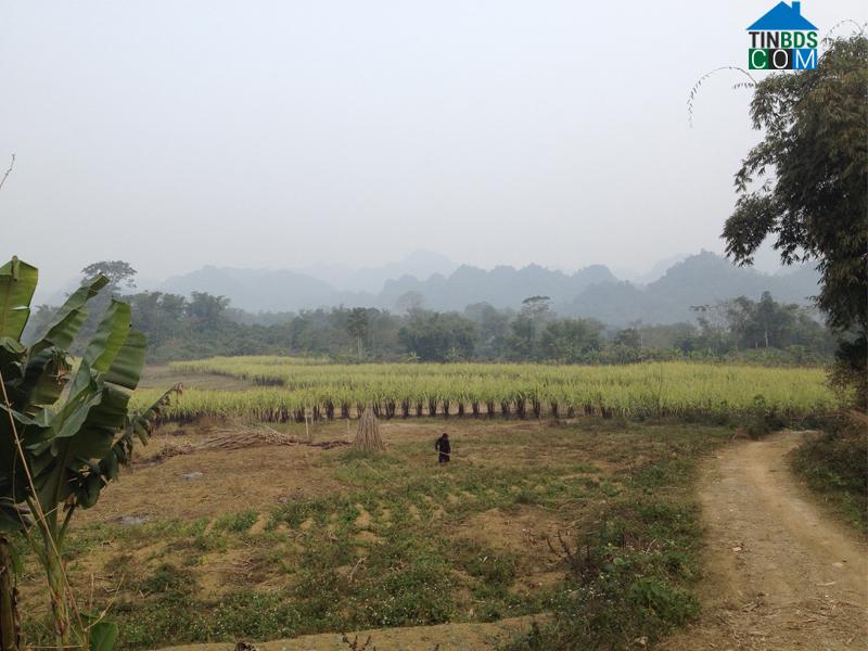 Hình ảnh Toàn Thắng, Phú Thọ