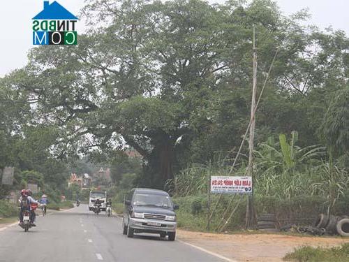 Hình ảnh Trạm Thản, Phú Thọ