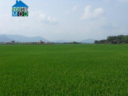 Hình ảnh Vân Bán, Phú Thọ