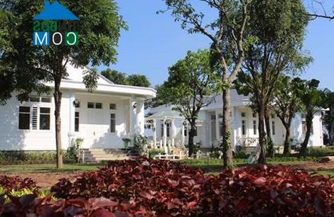 Hình ảnh Vĩnh Phú, Phú Thọ