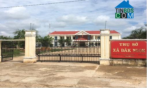 Hình ảnh Đăk Ui, Quảng Ngãi