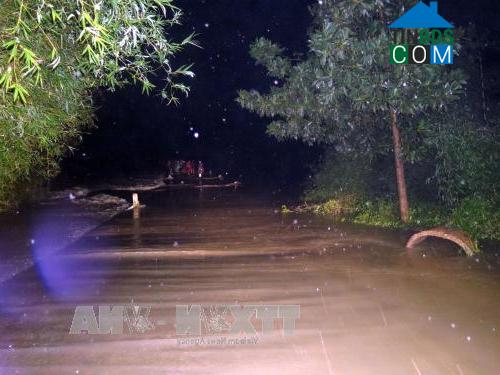 Hình ảnh Đình Cương, Quảng Ngãi