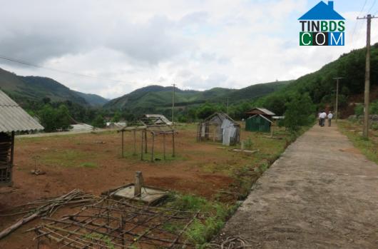 Hình ảnh Ba Tô, Quảng Ngãi