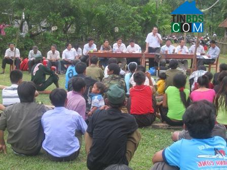 Hình ảnh Ba Vì, Quảng Ngãi