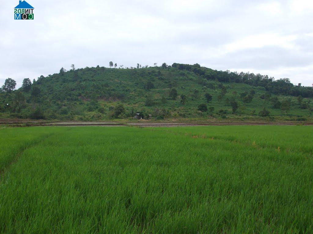 Hình ảnh Tân Quan, Đồng Nai