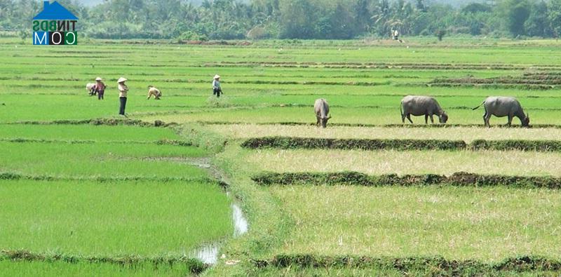 Hình ảnh Lộc Hưng, Đồng Nai