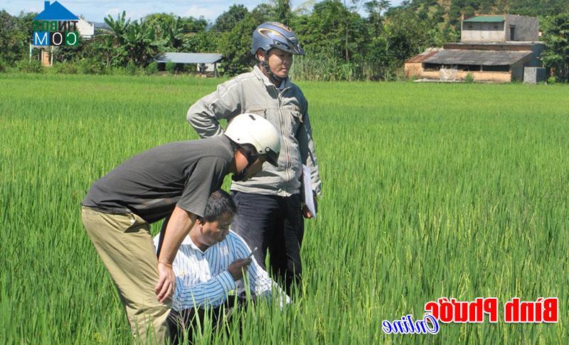 Hình ảnh Phước Sơn, Đồng Nai