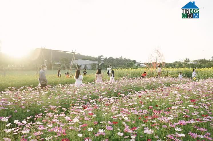 Hình ảnh Phú Lâm, Đồng Nai