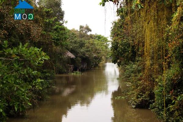 Hình ảnh Long Tiên, Đồng Tháp