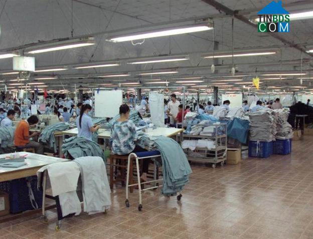 Hình ảnh Tân Phước 1, Đồng Tháp