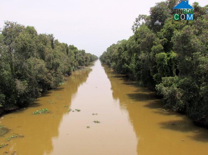 Hình ảnh Tân Phước 2, Đồng Tháp