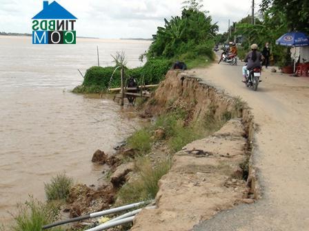 Hình ảnh Tân Long, Đồng Tháp