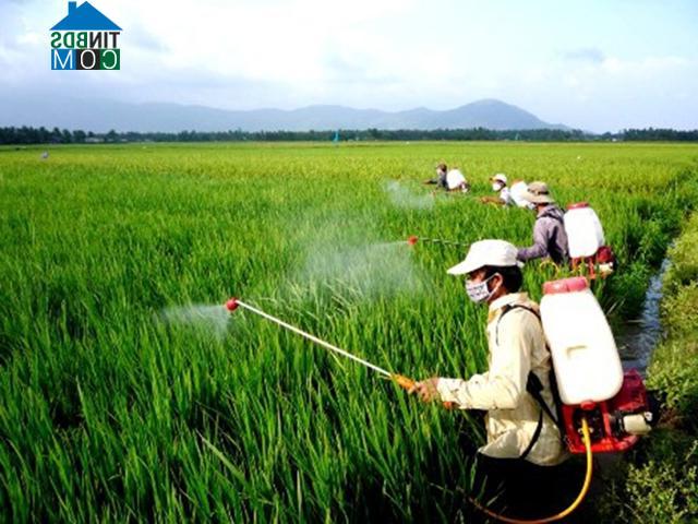 Hình ảnh An Lương, Gia Lai