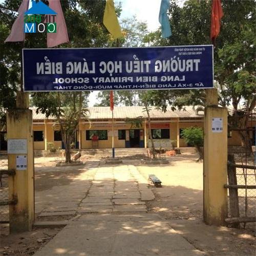 Hình ảnh Mỹ Quí, Đồng Tháp