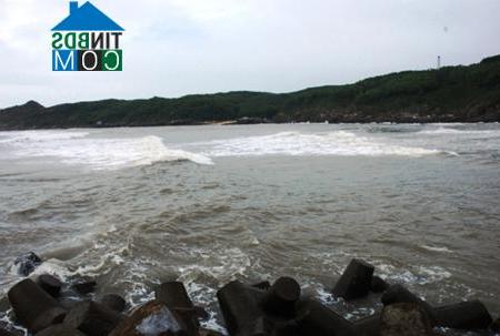 Hình ảnh Hoài Nhơn Bắc, Gia Lai