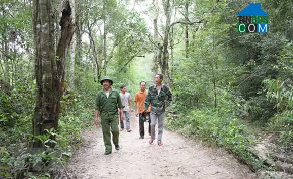 Hình ảnh Ayun, Gia Lai