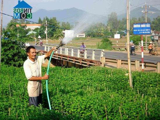 Hình ảnh Bình Dương, Gia Lai