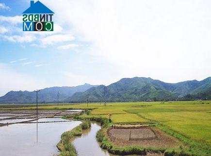 Hình ảnh Bồng Sơn, Gia Lai