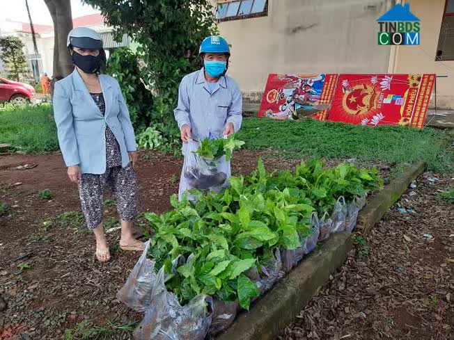 Hình ảnh Quy Nhơn, Gia Lai