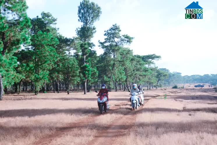 Hình ảnh Đak Đoa, Gia Lai