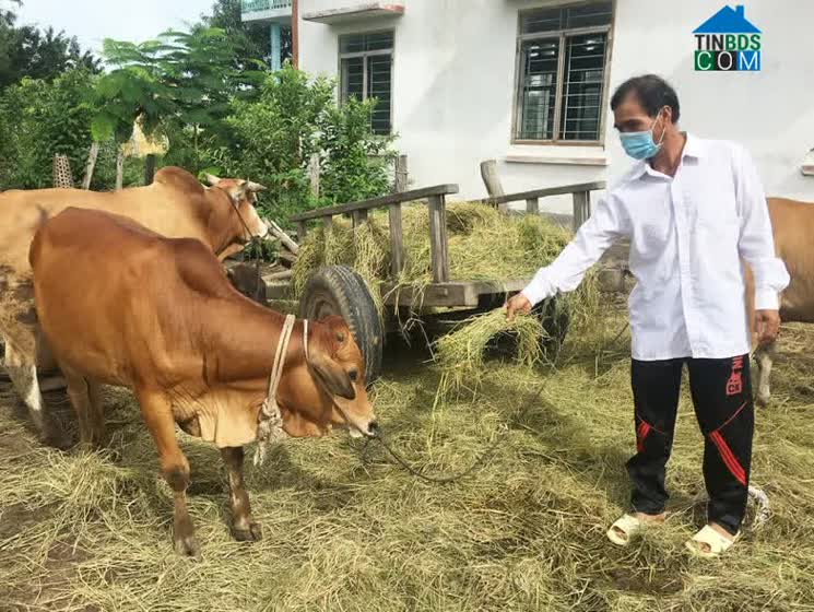 Hình ảnh Pờ Tó, Gia Lai