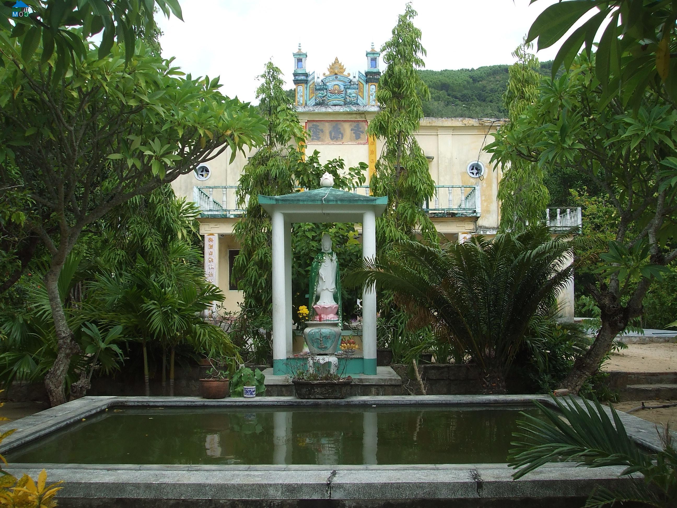 Hình ảnh Quy Nhơn Tây, Gia Lai