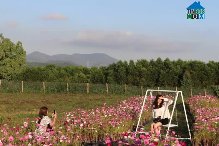 Hình ảnh An Khê, Gia Lai