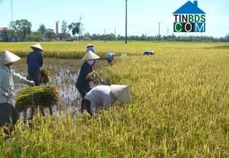 Hình ảnh Thạch Lạc, Hà Tĩnh