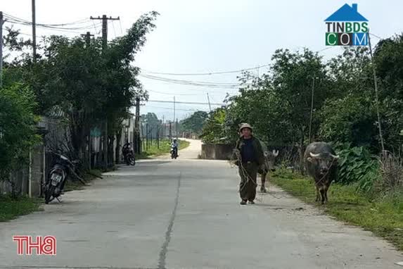 Hình ảnh Trường Lưu, Hà Tĩnh