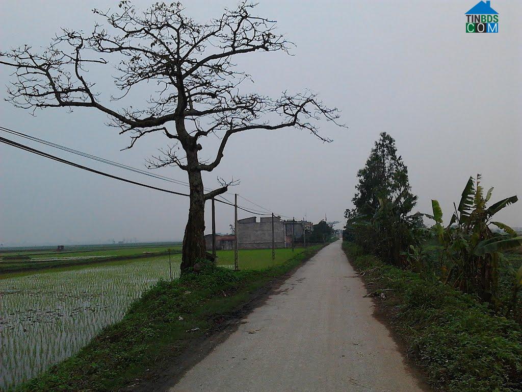 Hình ảnh Hồng Vũ, Hưng Yên