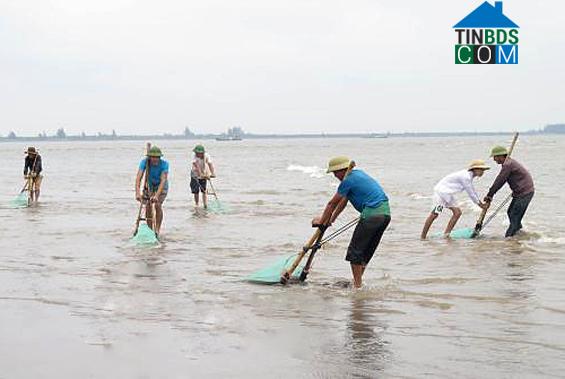 Hình ảnh Hưng Phú, Hưng Yên