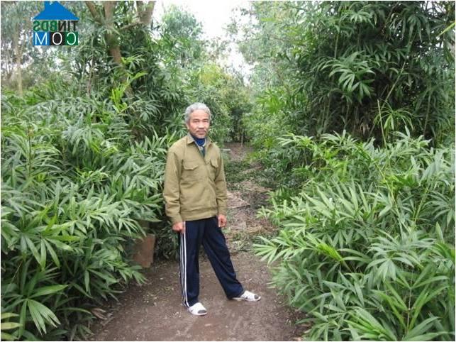 Hình ảnh Kiến Xương, Hưng Yên