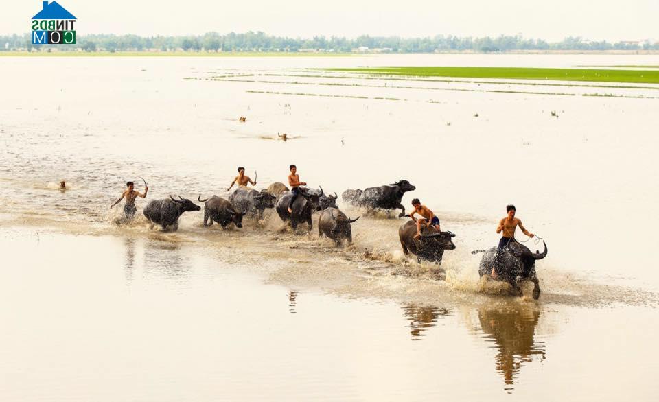 Hình ảnh Lạc Đạo, Hưng Yên