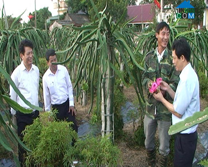 Hình ảnh Lê Lợi, Hưng Yên