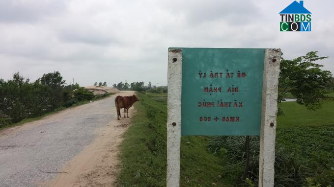 Hình ảnh Bắc Thái Ninh, Hưng Yên