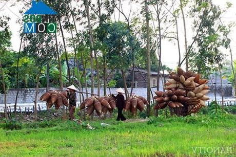 Hình ảnh Tân Hưng, Hưng Yên